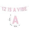 12th Birthday Party Decorations for Girls, Rose Gold Glitter 12 is a Vibe Banner, Cheers to 12 Years Groovy Birthday Party Supplies view 2