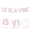 12th Birthday Party Decorations for Girls, Rose Gold Glitter 12 is a Vibe Banner, Cheers to 12 Years Groovy Birthday Party Supplies view 3