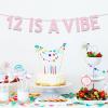12th Birthday Party Decorations for Girls, Rose Gold Glitter 12 is a Vibe Banner, Cheers to 12 Years Groovy Birthday Party Supplies view 4