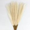 30Pcs Artificial Pampasgrass Dried Flower Artificial Plant Arrangements for Wedding Holiday Party Home Decoration view 4