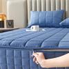 Mattress protector Double Mattress Cover Zipped Quilted Mattress Protector Single/Small Double/King Bed Mattress Topper Cover Fully Total Encasement Cover Anti-dust Washable Fitted Sheet(Blue B,150x20 view 4