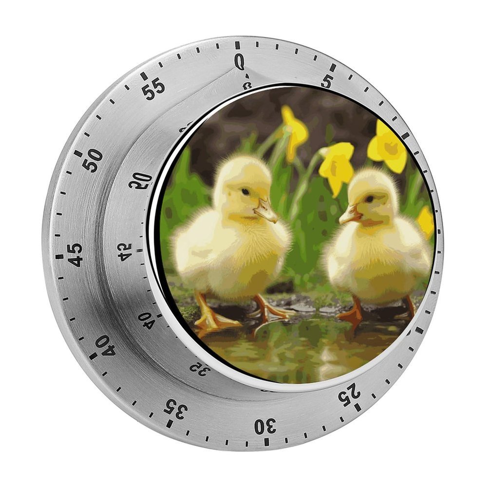Cute Ducks Kitchen Timers for Cooking,Meeting Timer Suitable for Home School Supplies, Study Tools, Desks, Office Desk Timers,Silent Operation