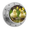Cute Ducks Kitchen Timers for Cooking,Meeting Timer Suitable for Home School Supplies, Study Tools, Desks, Office Desk Timers,Silent Operation view 1