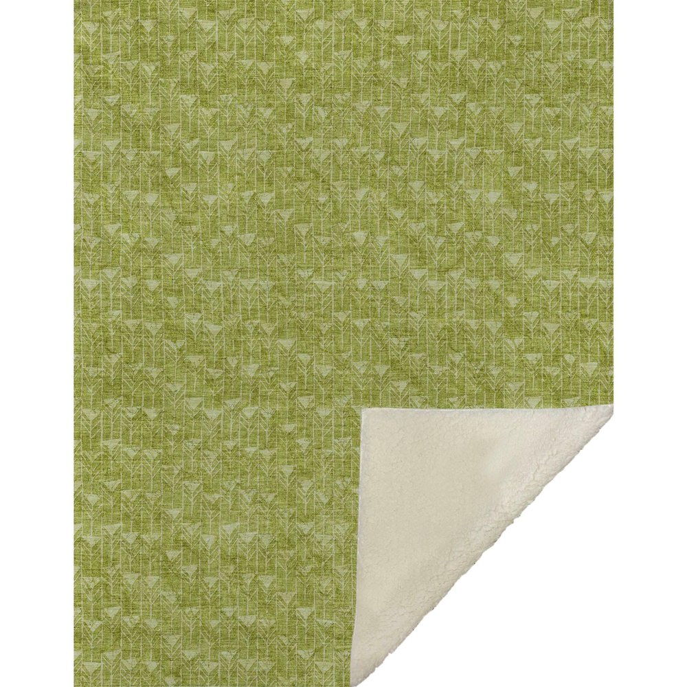 Addison Rugs ASB514 Aloe 50" x 70" Oversized Sherpa Throw Blanket, Machine Washable