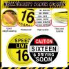 60Pcs 7 Inch 16th Birthday Paper Plates 16 Year Old Party Decorations Happy 16th Disposable Dinner Plates Warning Signs Party Tableware Cheers to 16 Years for Boys Teens Birthday Supplies view 3