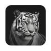 4Pcs Drink Coasters, Black and White Tiger Coasters for Drinks Leather Absorbent Coaster Set Heat-Resistant Mug Mats Coffee Cup Pads Housewarming Gifts for New Home view 1