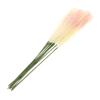Vaguelly 10pcs Dried Plumes Decor for Weddings and Home Lifelike Faux Flowers for Bouquets Centerpieces and Seasonal Decor view 1