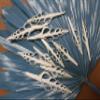 10- Center Cut Fusus Colus Seashells, White Seashells, Sailors Valentines, Seashell Ornaments, Seashell Flowers, CS-32 view 2