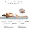 100% Natural Latex Topper Firm - 3/4 Inch Collection The Only Virtually Allergy Free Latex,10cm,80x180cm(31.5X71in) view 4