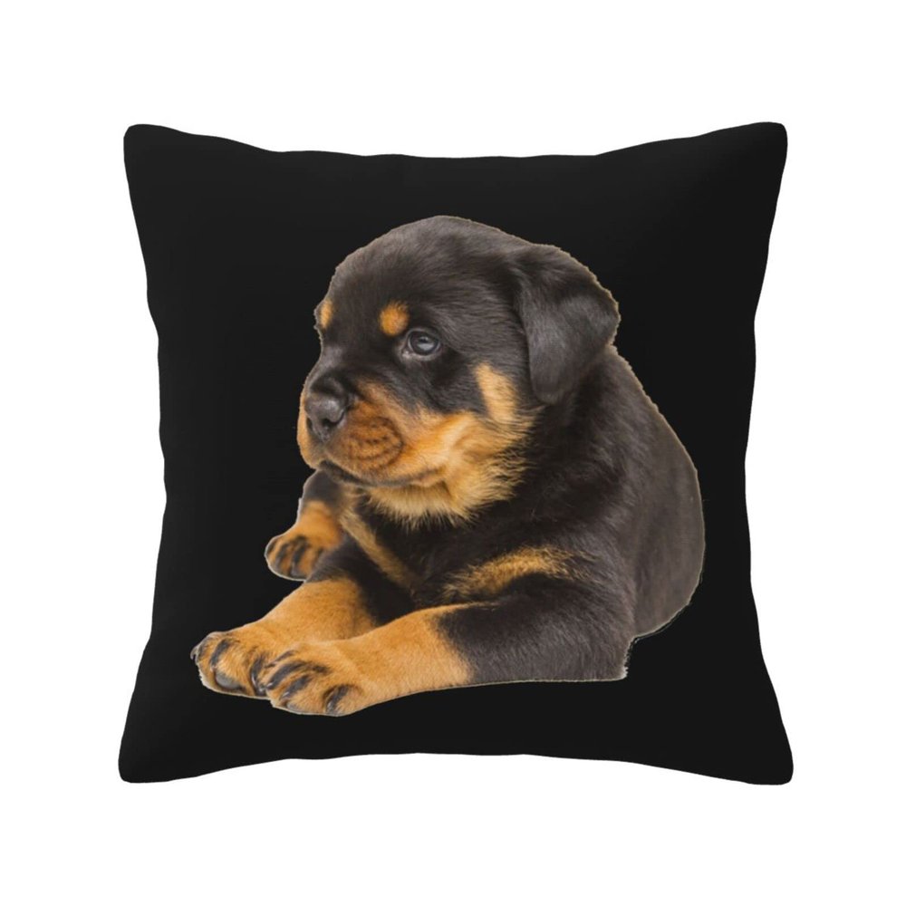 AHUNARLOP Lovely Rottweiler Throw Pillow Covers 18x18 Inch - Soft Decorative Pillowcases for Couch, Bed & Sofa - Indoor Living Room Home Decor