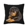 AHUNARLOP Lovely Rottweiler Throw Pillow Covers 18x18 Inch - Soft Decorative Pillowcases for Couch, Bed & Sofa - Indoor Living Room Home Decor