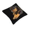 AHUNARLOP Lovely Rottweiler Throw Pillow Covers 18x18 Inch - Soft Decorative Pillowcases for Couch, Bed & Sofa - Indoor Living Room Home Decor view 2