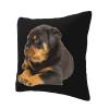 AHUNARLOP Lovely Rottweiler Throw Pillow Covers 18x18 Inch - Soft Decorative Pillowcases for Couch, Bed & Sofa - Indoor Living Room Home Decor view 3