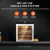 Electric Food Dryer, Freezer Dryer, Temperature Controller And Digital Timer, For Dried Meat, Fruit, Meat And Beef view 3