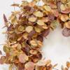 24" Fall Harvest Artificial Eucalyptus & Seed Wreath on Natural Twig Base view 2