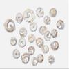 50-Atlantic Whelk Sliced Top Cut Seashells, Natural Tan and Cream, Craft Shells,Sailors Valentines,Seashell Jewelry Supply, CS-85 view 1