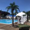 Simulated Coconut Tree Simulated Tree Scenic Palm Tree Tropical Beach Hawaii Artificial King Coconut Fiberglass Rainforest 1m view 2
