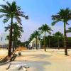 Simulated Coconut Tree Simulated Tree Scenic Palm Tree Tropical Beach Hawaii Artificial King Coconut Fiberglass Rainforest 1m view 4