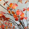 3 Pcs Artificial Greenery Stems 41In Long Faux Greenery Ficus Twig Leaf Branch for Home Shop Table Floral Arrangement Decoration (Red) view 3