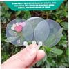 100Pcs Sublimation Fans Blank, Clear Plastic Hand Fan, Removable DIY Crafts Decorative Folding Fans view 4