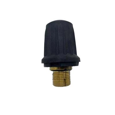 JKRRKEYI Brass Safety Valve Steam Cleaner AccessoriesCompatible for Karcher SC1 SC2 SC4 SC5 CTK10 SV1802 SV1902 SG4-4 Home Appliance Part(G4-4)