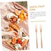Cabilock 2Pcs Rose Gold Stainless Steel Fruit Fork Set Cake Forks for Children Useful and Delicate Kitchen Utensils for Serving Fruits and Desserts view 4