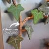 3D Printed Magnetic Ivy Faux Plant Fridge Magnet,20PCS Magnetic Vine Leaves,with Articulating Stems,Plant Magnets for Fridge,Morning Glory Climbing Ivy Decorative Refrigerator Magnets(Green) view 4
