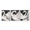 Renditions Gallery Set of 3 Peel & Stick Framed Prints, Aviary Wall Art, Beautiful White Swans Wall Decor, Re-Stickable - Ready to Hang - 8"x10" - White Frame LT605 view 1