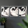 Renditions Gallery Set of 3 Peel & Stick Framed Prints, Aviary Wall Art, Beautiful White Swans Wall Decor, Re-Stickable - Ready to Hang - 8"x10" - White Frame LT605 view 3