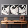 Renditions Gallery Set of 3 Peel & Stick Framed Prints, Aviary Wall Art, Beautiful White Swans Wall Decor, Re-Stickable - Ready to Hang - 8"x10" - White Frame LT605 view 4