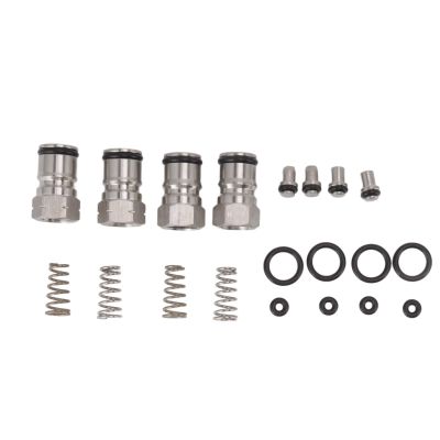 Ball Lock Keg Posts Stainless Steel 304 Gas Liquid Keg Post Poppet Spring with O Rings for Wine Syrup Kegs Home Brewing Set of 2 Gas and 2 Liquid Posts