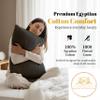 1000TC Pillow Cases Set of 2  Standard/Queen Size 100% Egyptian Cotton Pillow Covers (20 X 30), Long Staple Pillow Cover, Luxuriously Ultra Soft Pillowcase for Home & Hotel - Dark Gray view 2
