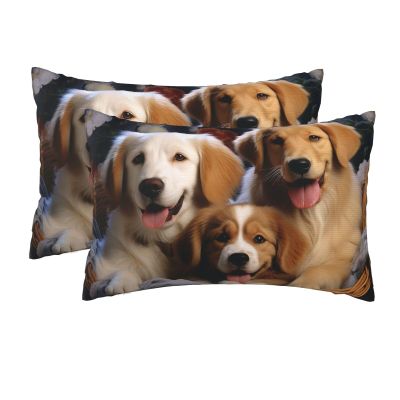 2 Pack Queen Size Pillow Cases with Zipper, Soft Breathable Pillowcase for Hair and Skin, 20"x30" Pillow Covers for Sleeping Gift Bed Pillow Case Dog Baskets and Dogs Pillowcases