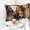 2 Pack Queen Size Pillow Cases with Zipper, Soft Breathable Pillowcase for Hair and Skin, 20"x30" Pillow Covers for Sleeping Gift Bed Pillow Case Dog Baskets and Dogs Pillowcases view 2