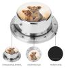 Mechanical Kitchen Timers 60 Minute Small Lion Wind Up Timer Chef Cooking Timer Clock with Loud Alarm, No Batteries Required, Countdown Reminder Magnetic, for Classroom Home Baking view 3