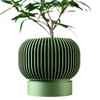 Ribbed Green Ceramic-Look Planter Pot | Sculptural Indoor Container for Succulents & Houseplants | Modern Desk Decor & Shelf Display - 3D Printed in Canada view 1