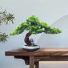 LUYOUBOZHU Bonsai Tree, Chinese Decor Fake Pine Bonsai Tree for Home Office Study Decor Artificial Bonsai Tree view 3