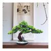 LUYOUBOZHU Bonsai Tree, Chinese Decor Fake Pine Bonsai Tree for Home Office Study Decor Artificial Bonsai Tree view 4