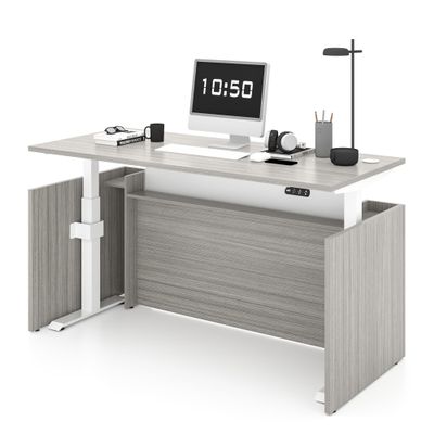 ALFA BUSINESS 67Electric Height Adjustable Executive Desk, Standing Desk with Dual Motor, Sit-Stand Workstation with Memory Presets and Cable Management
