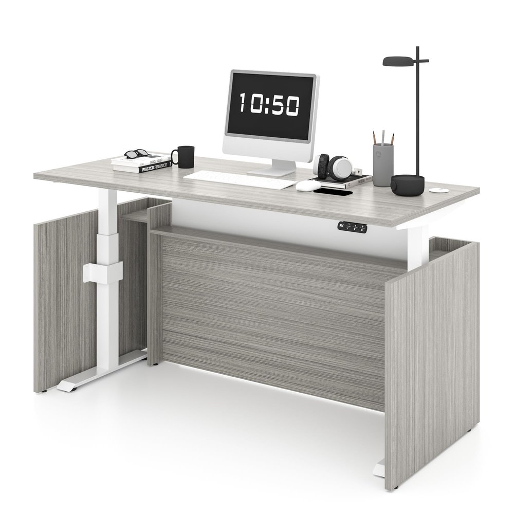 ALFA BUSINESS 67Electric Height Adjustable Executive Desk, Standing Desk with Dual Motor, Sit-Stand Workstation with Memory Presets and Cable Management