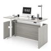 ALFA BUSINESS 67Electric Height Adjustable Executive Desk, Standing Desk with Dual Motor, Sit-Stand Workstation with Memory Presets and Cable Management view 1