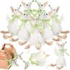 Halloscume 16 Set 11.8inch One Silly Goose Stuffed Animal, Fresh, Green view 1