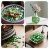 Vnezakl 2.17 LB Green Flat Glass Beads Marbles 0.65-0.75 Inch Smooth Stone Pebbles for Aquarium Fish Tank Rocks Vase Fillers Floral DIY Craft Gems Home Decor view 3