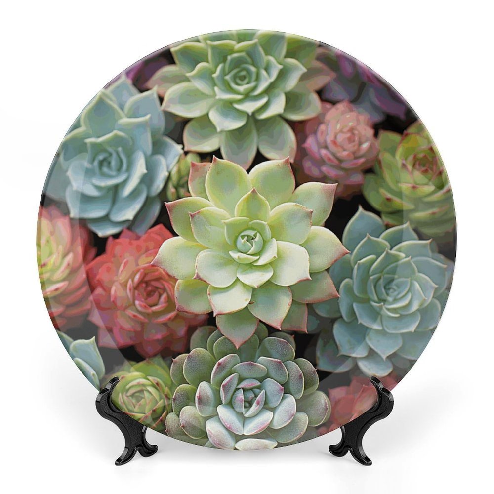 Cactus Succulents Decorative Plate for Display with Vertical Stand Wall Decorative Plate for Home&Office Wall Decors