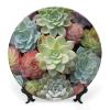 Cactus Succulents Decorative Plate for Display with Vertical Stand Wall Decorative Plate for Home&Office Wall Decors view 1