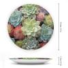 Cactus Succulents Decorative Plate for Display with Vertical Stand Wall Decorative Plate for Home&Office Wall Decors view 2