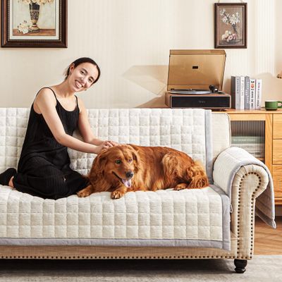 YJSMMXY Couch Cover for Dogs Washable,Anti-Slip Back Cat Mat Pet Pad Blanket for Furniture Protector,Fuzzy Pet Sofa Cover for 3 Cushion Couch Sofa Pets Friendly (Ivory, 1pc/36"x80"/Seat Cover)