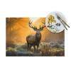 PVC Placemats Set of 6 Pcs,Non-Slip Heat Resistant Vinyl Place Mats Deer in Forest Wipeable Washable Table Mats for Kitchen Dining Table Decoration view 4
