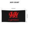 AHUNARLOP Wales Welsh Dragon Yard Flag Beach Towel 27.5 x 55 Inches - Quick Dry Sand-Free Towels | Lightweight & Compact for Travel | Oversized Pool Towel for Adults, Summer, Vacation view 3