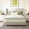 Emerspring Queen Mattress 14 Inch Hybrid Memory Foam Mattress in a Box with Individual Pocket Innerspring for Motion Isolation & Pressure Relief, Edge Support, Medium Firm view 1